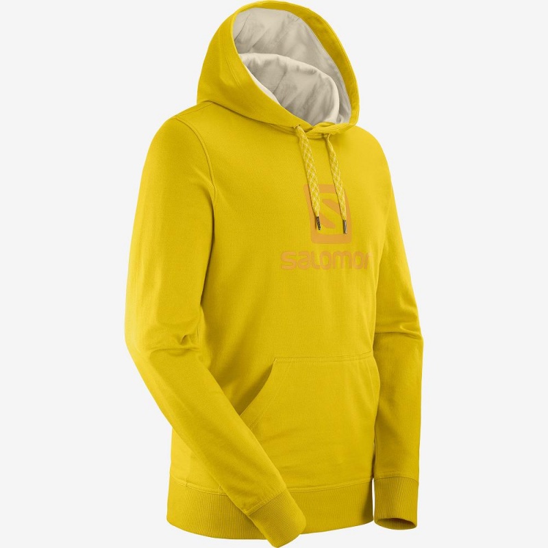 Sweat a Capuche Salomon Shift Hoodie M Homme Jaune | 72083-LFPO