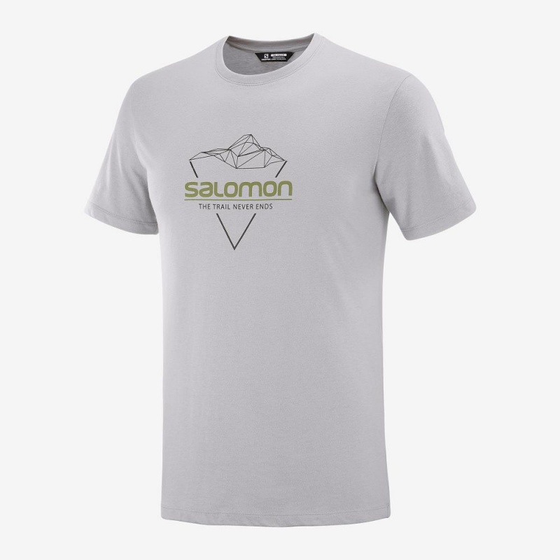 T Shirts Salomon Blend Logo Tee M Homme Gray | 45863-IYDF