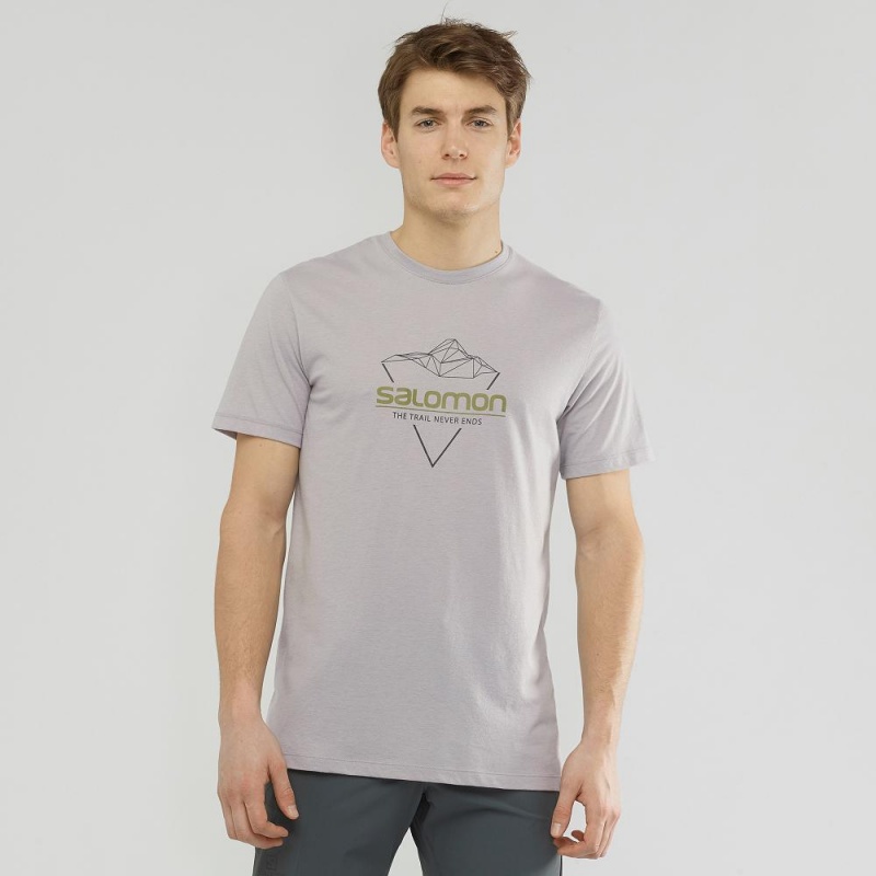 T Shirts Salomon Blend Logo Tee M Homme Gray | 45863-IYDF