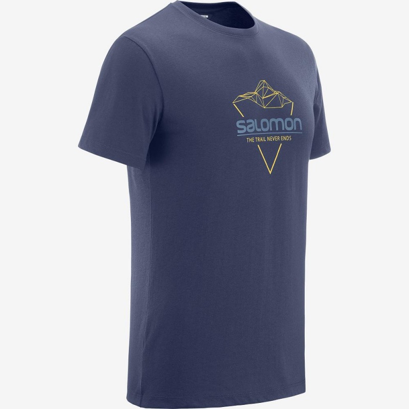 T Shirts Salomon Blend Logo Tee M Homme Bleu Marine | 76312-PDLC