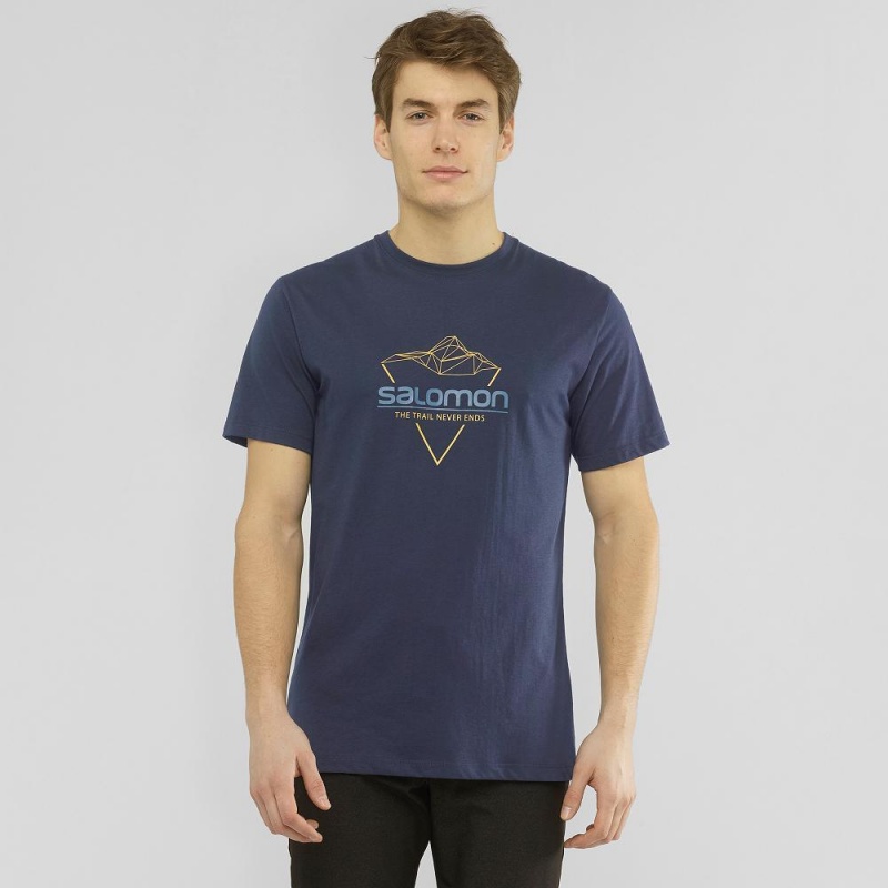 T Shirts Salomon Blend Logo Tee M Homme Bleu Marine | 76312-PDLC