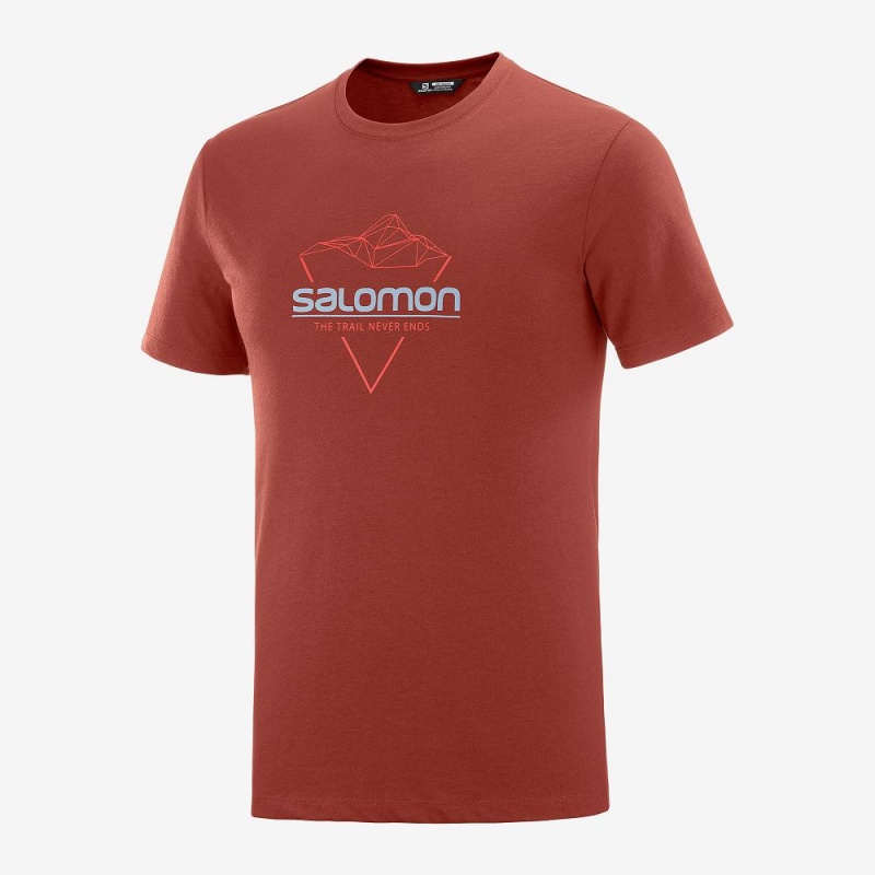 T Shirts Salomon Blend Logo Tee M Homme Rouge | 98370-NCUF