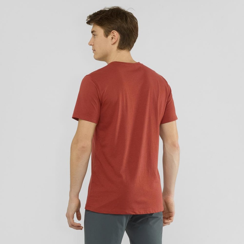 T Shirts Salomon Blend Logo Tee M Homme Rouge | 98370-NCUF