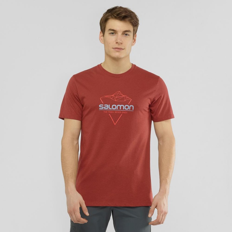 T Shirts Salomon Blend Logo Tee M Homme Rouge | 98370-NCUF