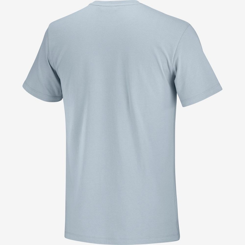 T Shirts Salomon Salomon Coton Tee M Homme Bleu | 65780-EVRS