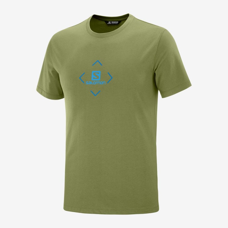 T Shirts Salomon Salomon Coton Tee M Homme Vert | 94573-ICFE