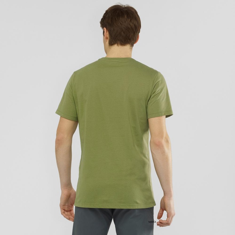 T Shirts Salomon Salomon Coton Tee M Homme Vert | 94573-ICFE