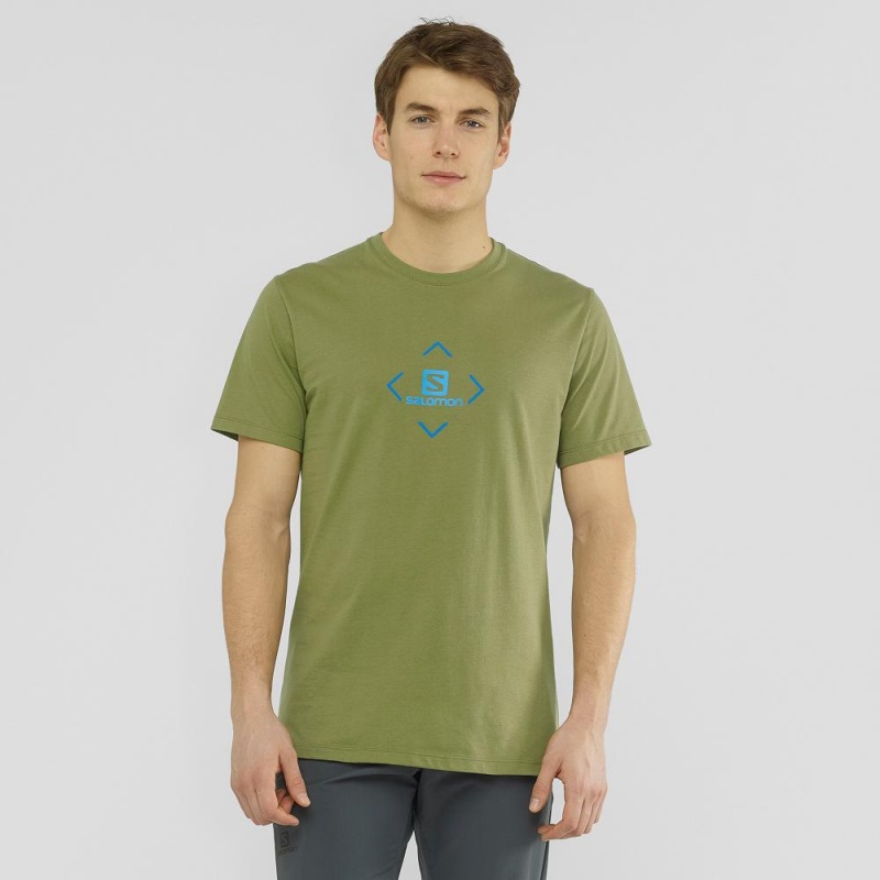 T Shirts Salomon Salomon Coton Tee M Homme Vert | 94573-ICFE