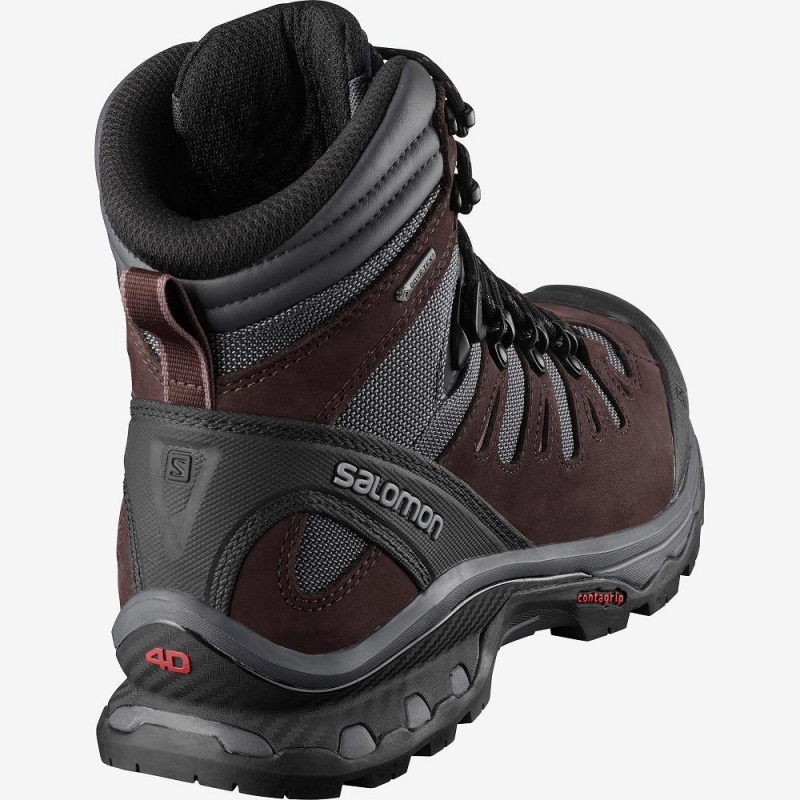 Trekking Salomon Quest 4D 3 Gtx W Femme Gray | 84723-IGTX