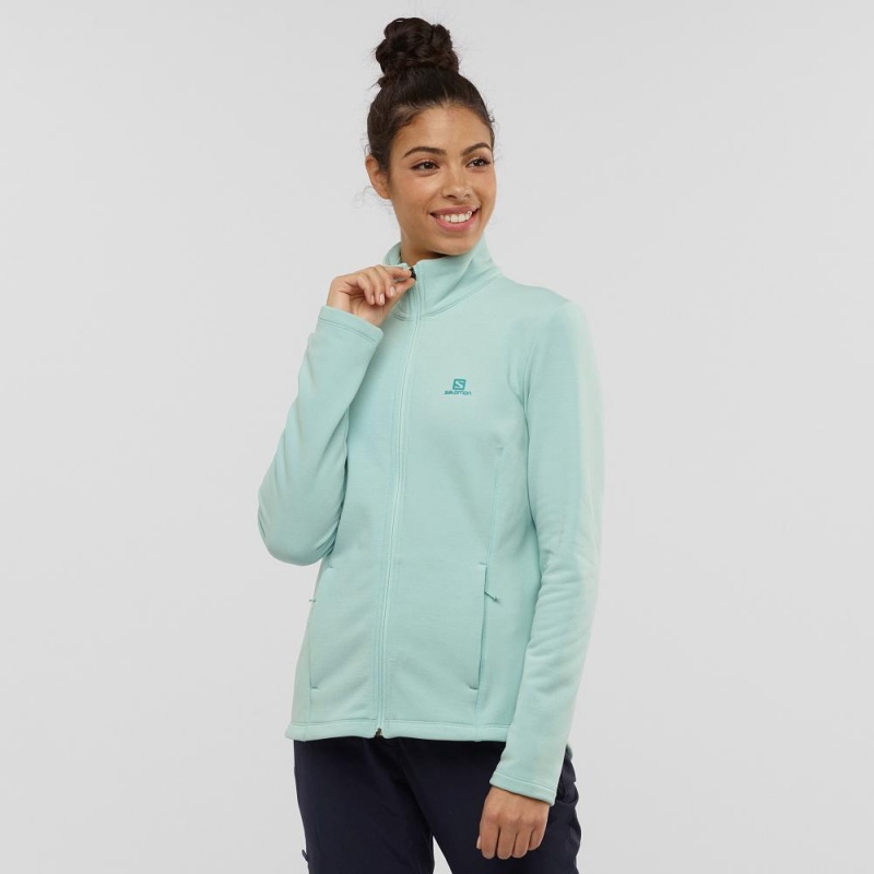 Vestes De Ski Salomon Radiant Full Zip Couche Intermédiaire W Femme Vert | 75630-AUKE